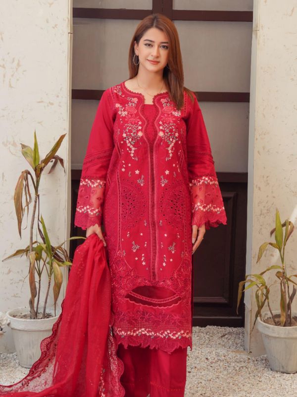 Crimson Red Luxury Chikankari Festive Suit