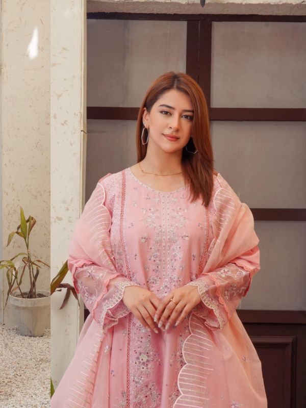 Pastel Blush Pink Heavily Embroidered Organza Ensemble