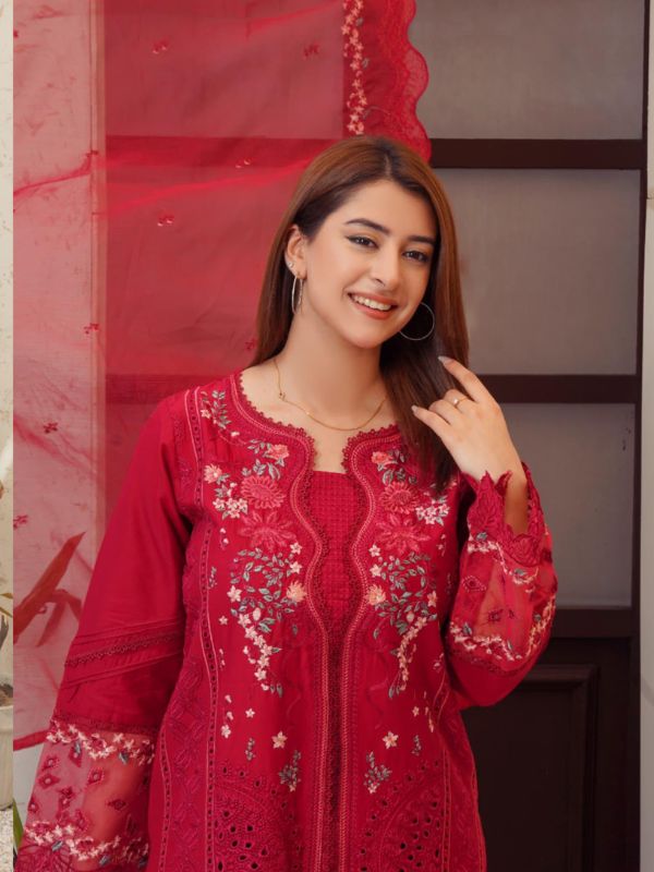 Crimson Red Luxury Chikankari Festive Suit