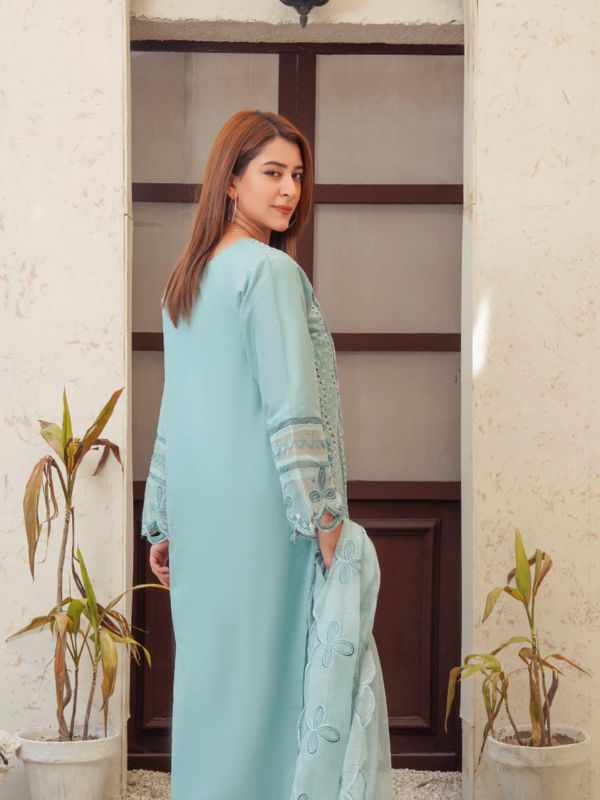 Pastel Seafoam Mint Embroidered Luxury Chikankari Suit