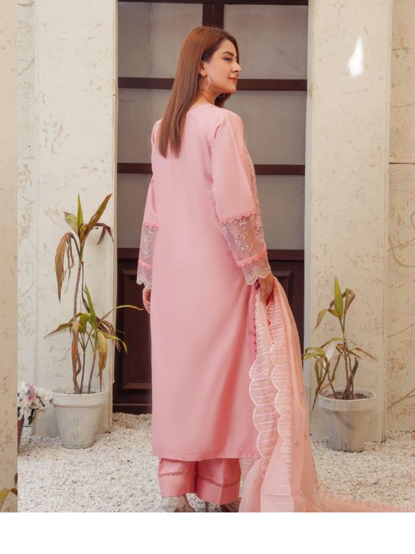 Pastel Blush Pink Heavily Embroidered Organza Ensemble
