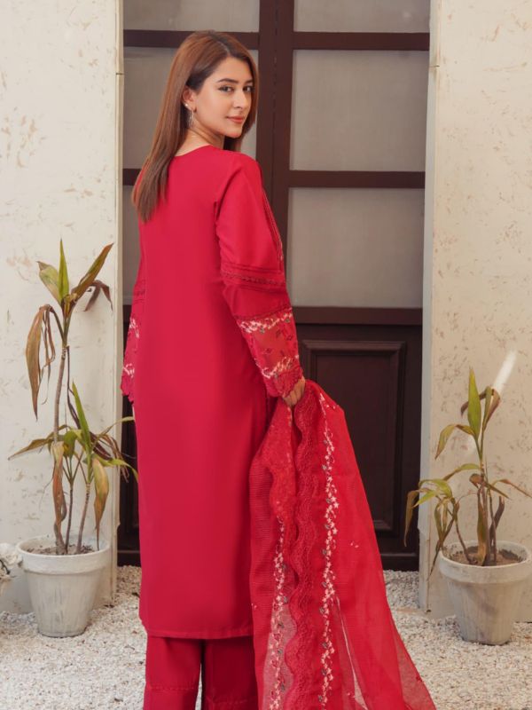 Crimson Red Luxury Chikankari Festive Suit